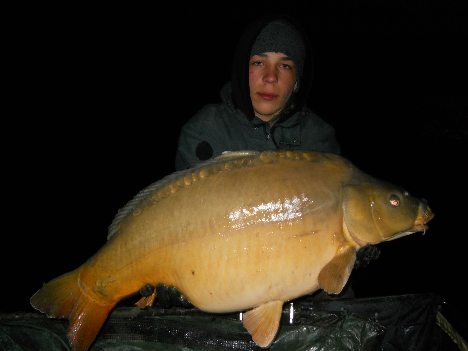 Martie 2013 - Harsany - Martie 2013